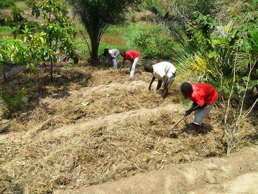 Orphan boys learning agriculture