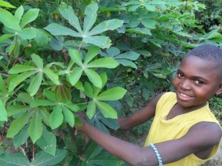 Gardening project for orphaned boys