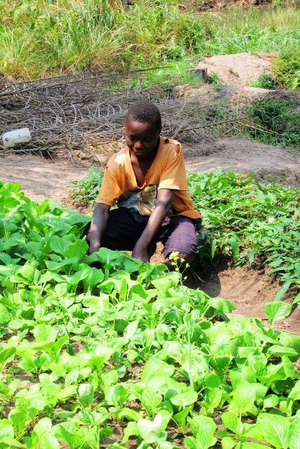Vegetable garden for orphaned children