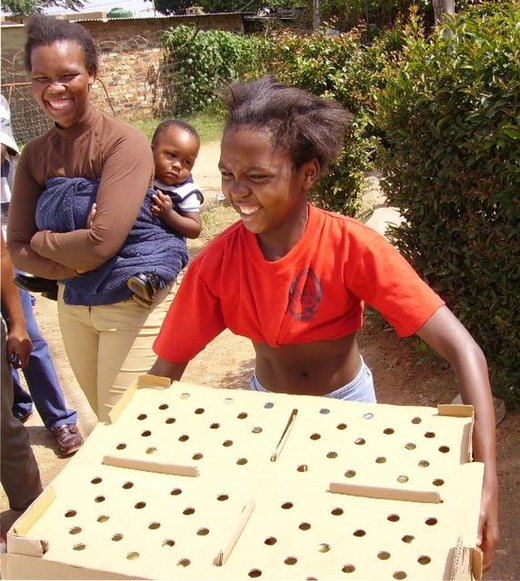 2500 chicks find a Home on Good Friday