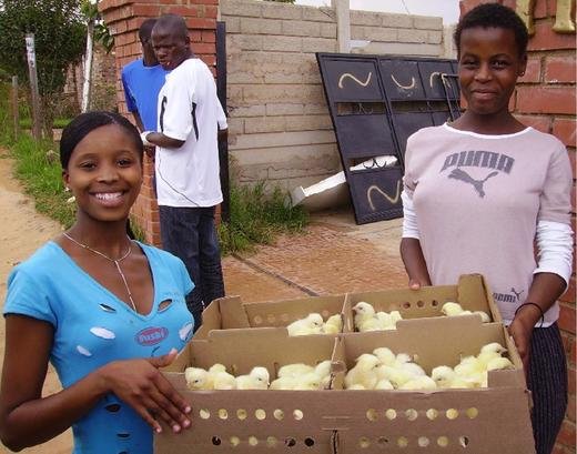 Happy recipients of the Easter chicks